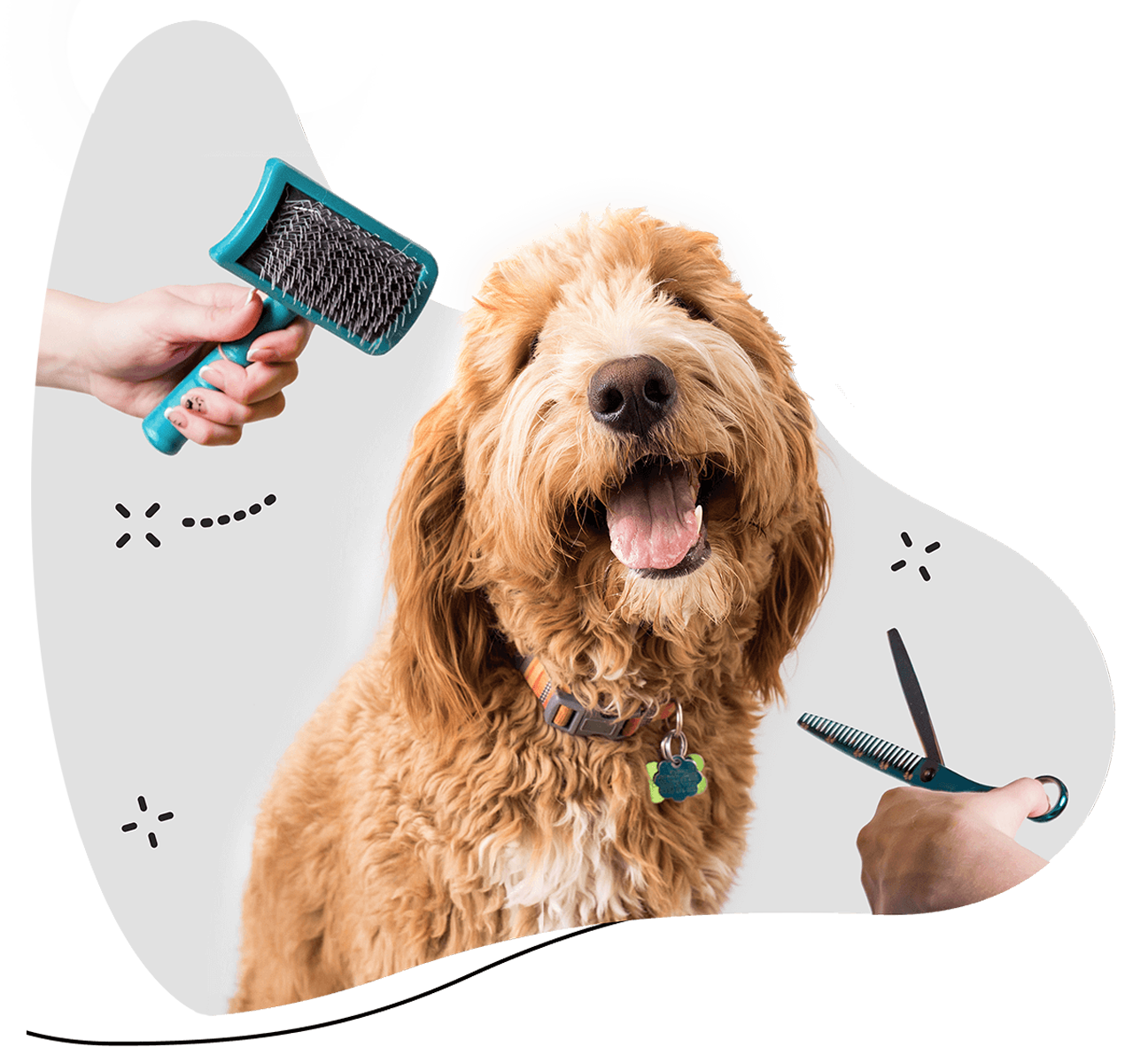 DOG BATHING FOR DOGS IN CHENNAI